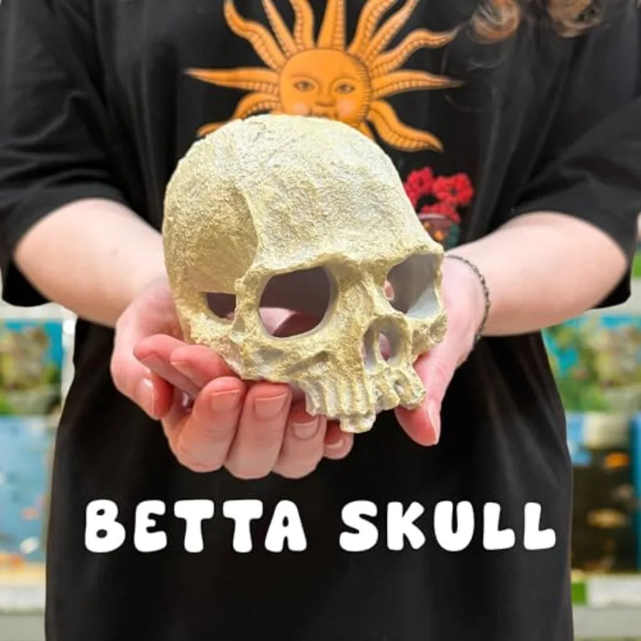 Aquarium Human Skull Decor for Betta Fish Sinking Hide Shrimp Hide