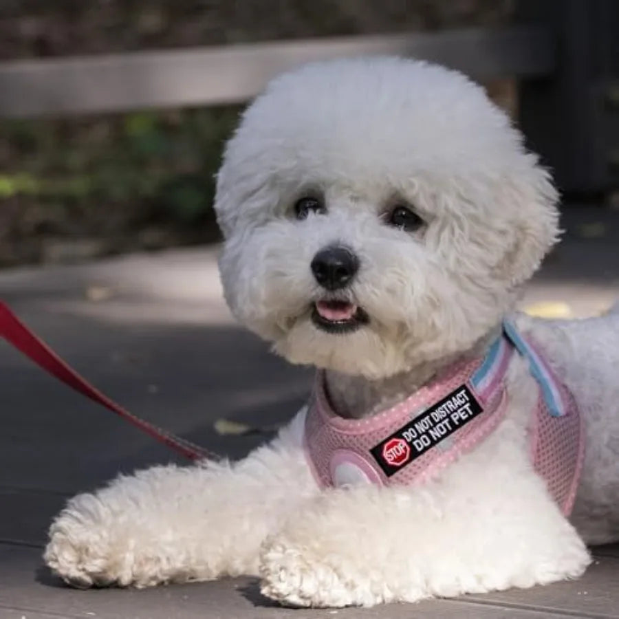 5 Pcs Stop Service Dog Patches for Dog Harness Do Not Distract No Touch Talk Eye Contact Do Not Pet Ignore Me Working Dog for D