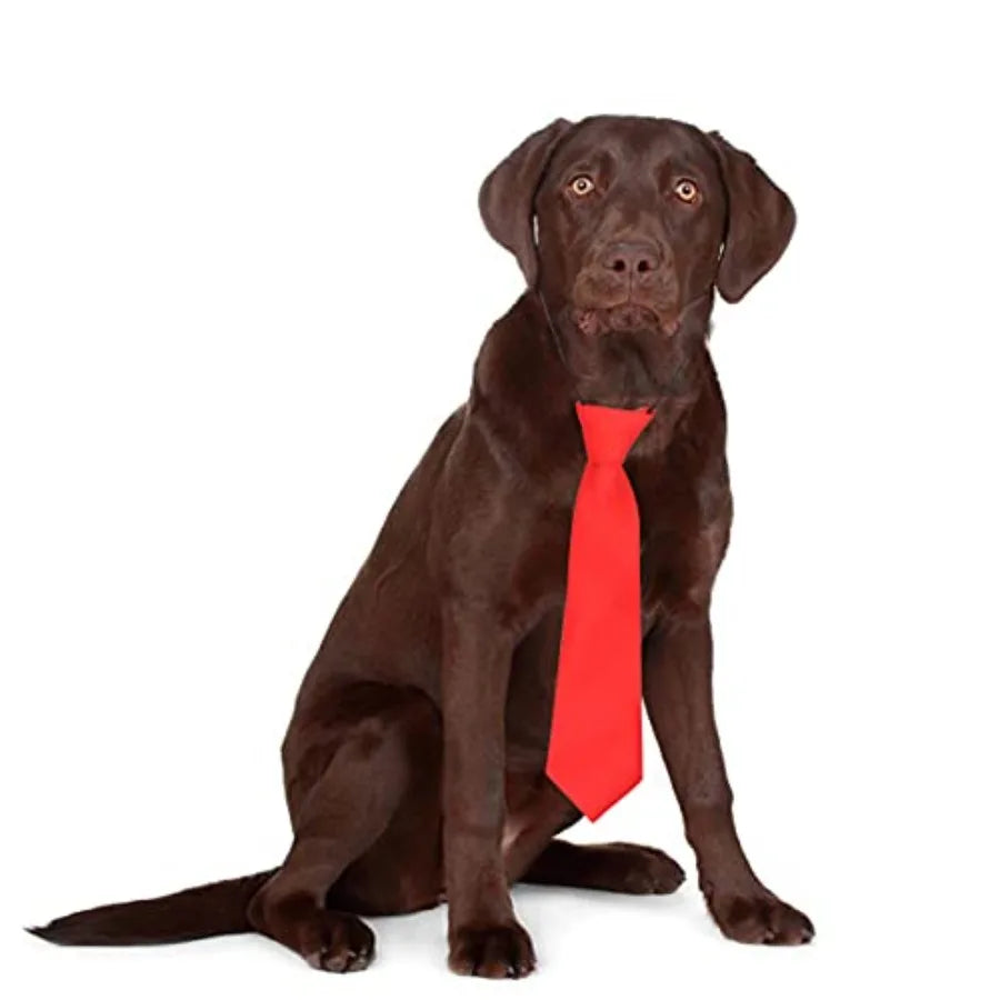 Large Dog Ties10Pcs Dog Necktie Ties for Large Dogs Solid Color Dog Tie Adjtable Cat Collar Pet Hair Grooming Accessories for H