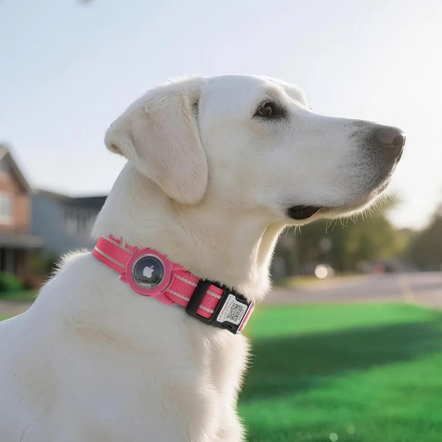 Airtag Dog Collar with QR Code Reflective Dog Collar with Airtag Holder Soft Padded Safety Locking Buckle Adjustable Dog Collar