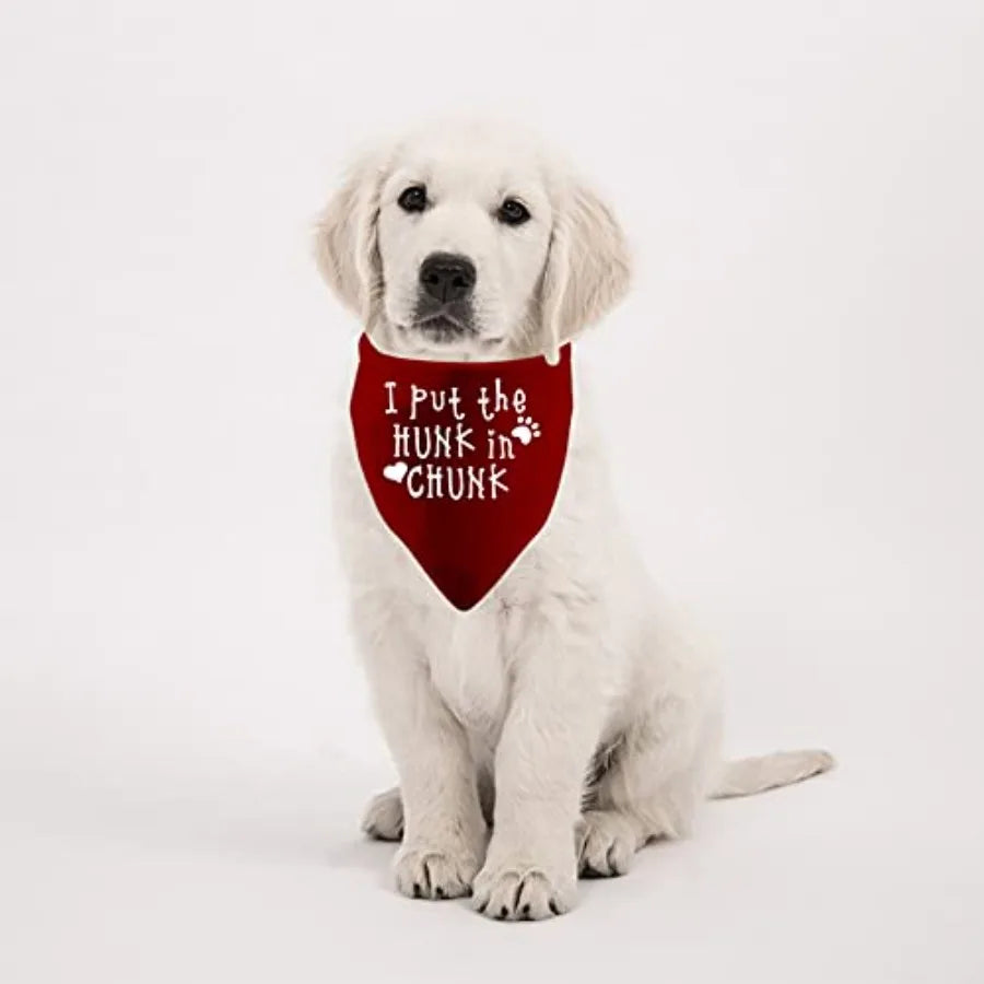 1 Piece Funny Dog Banda I Put The Hunk in Chunk Dog Banda Boy Dog Banda Over The Collar Banda Put The Hunk red
