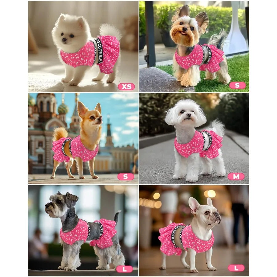 Two Piece Dog Sports Dress Athleisure Puppy irt Lightweight Small Dogs Girl Clothes Cat Apparel SPS12M