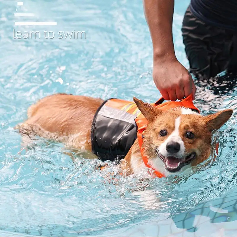 Dog Life Vest High Buoyancy Reflective Adjustable Lightweight with Rescue Handle