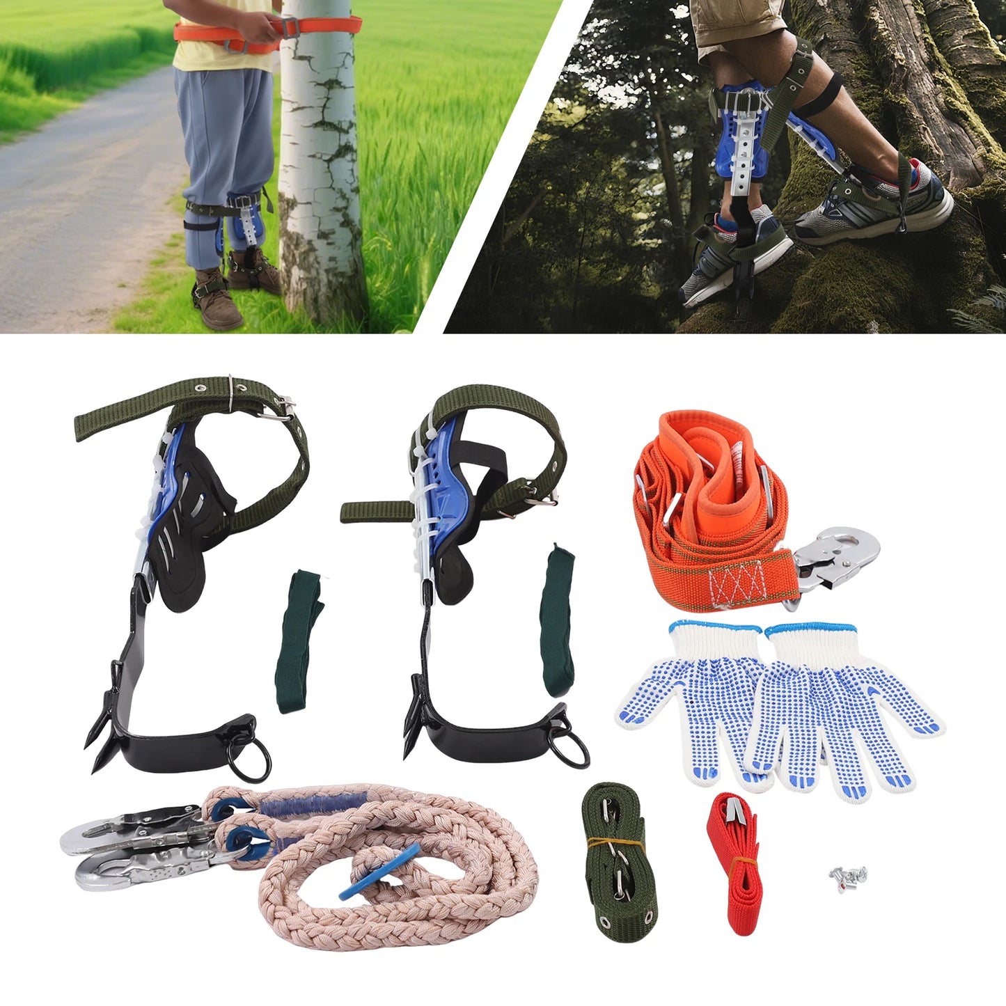 150kg Capacity Adjustable Tree Climbing Spikes Gear Set with Safety Harness Rope Gloves for Outdoor Climbing, Fruit Picking