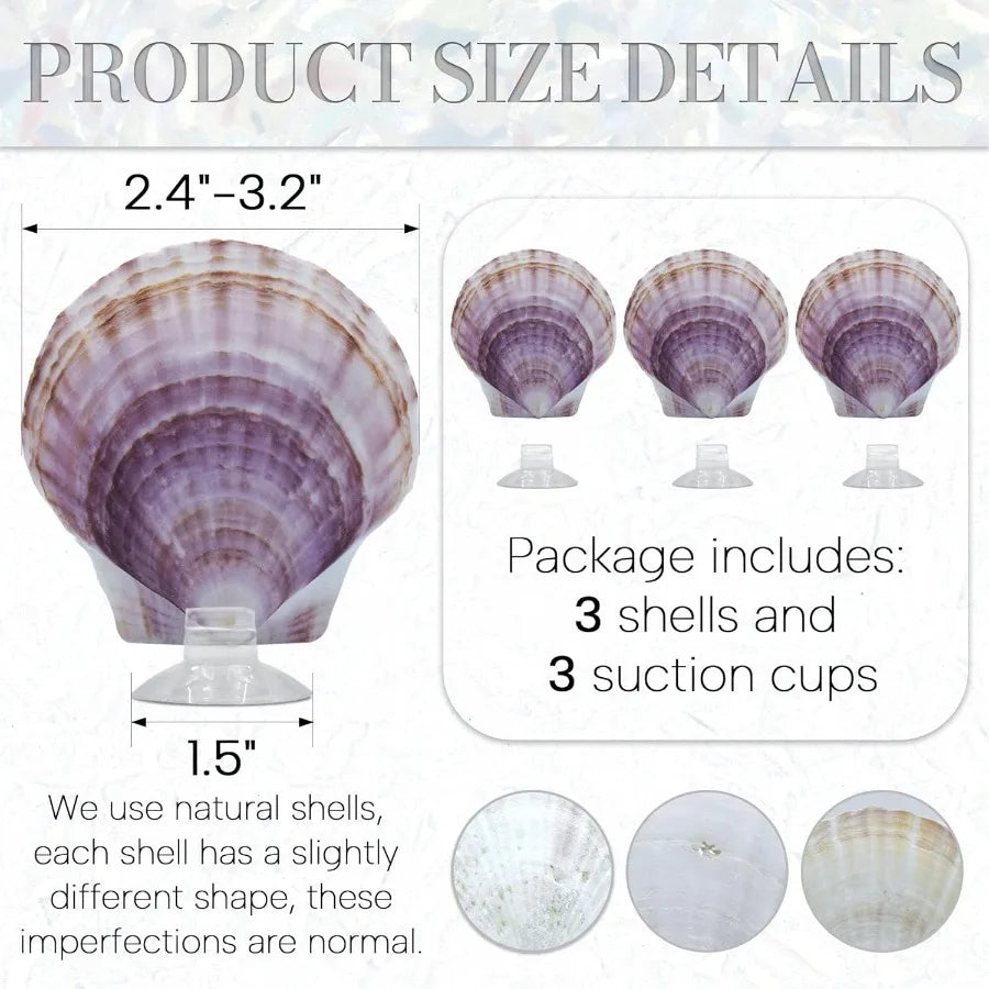 3PCS Betta Hammock Shells tural Small Fish Tank Decorations Betta Fish Tank Accessories Aquarium Decorations Aquarium Hideout H