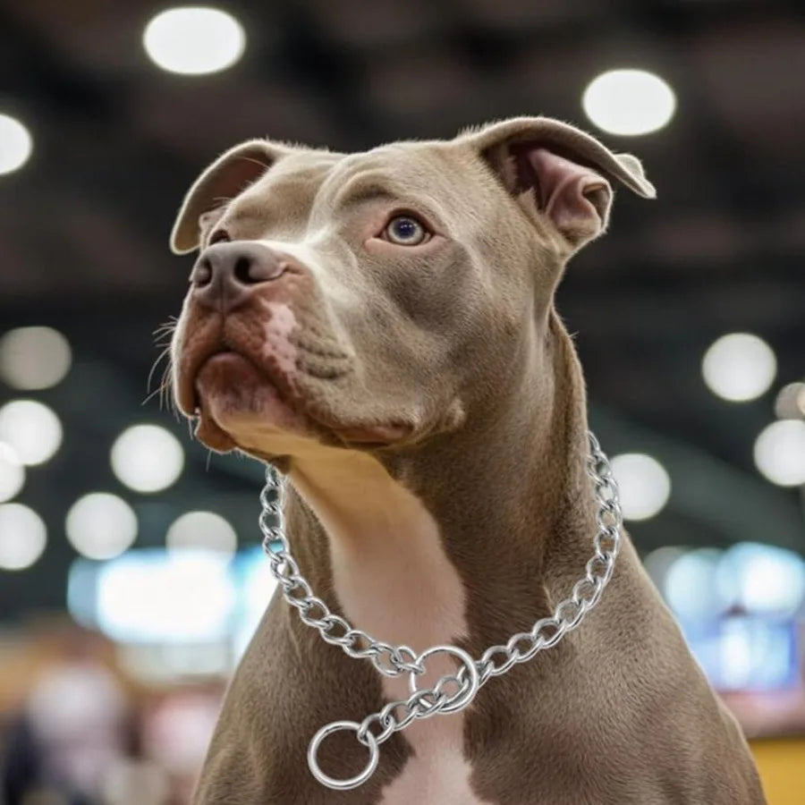 Dog Chain Collars Choke Collar for Dogs Slip P Chain Choker Stainless Steel Link Dog Collar Martingale Training Puppy Collars f