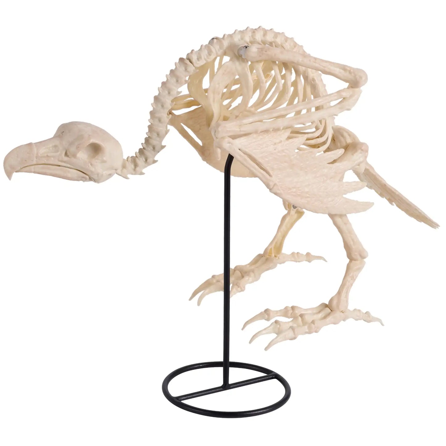 Joyfy 12 inch Halloween Vulture Skeleton Decorations Posable Animal Skeletons for Indoor Outdoor Yard Garden Lawn