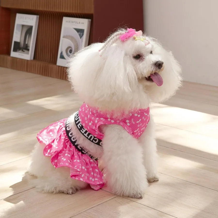 Two Piece Dog Sports Dress Athleisure Puppy irt Lightweight Small Dogs Girl Clothes Cat Apparel SPS12M