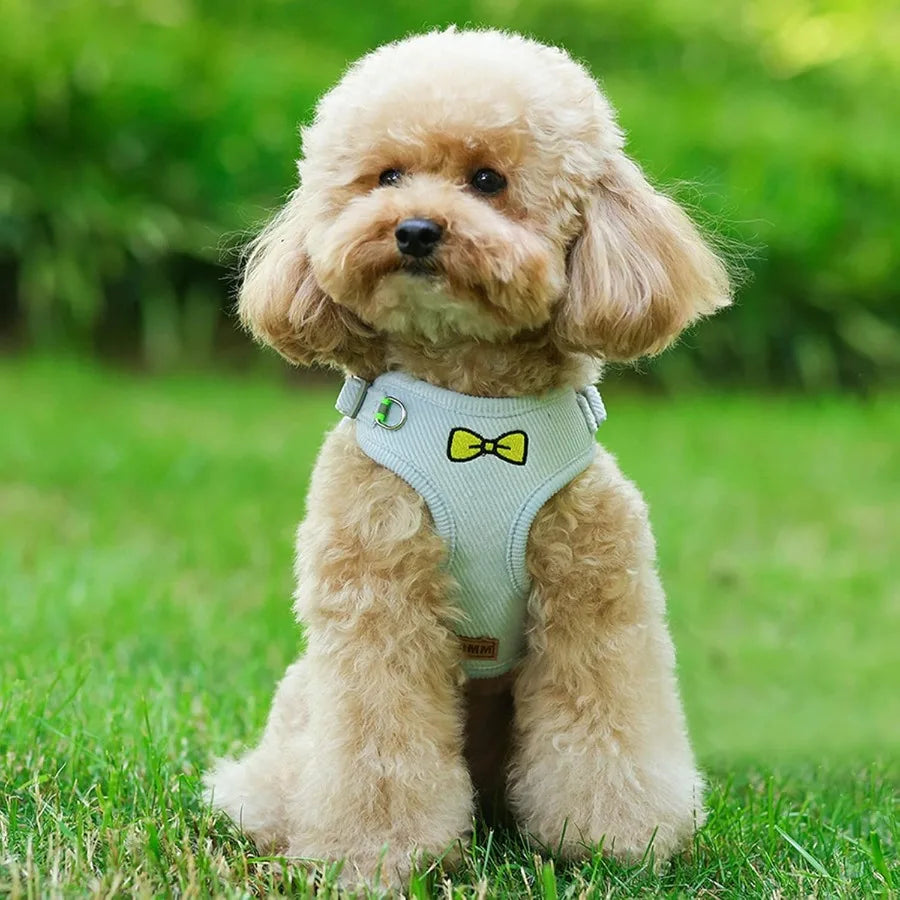 No Pull Dog Harness with Leash Pet Soft Vest Harness and Leash Set Dog Cat No Choke Escape Proof Harness Reflective Step in Har