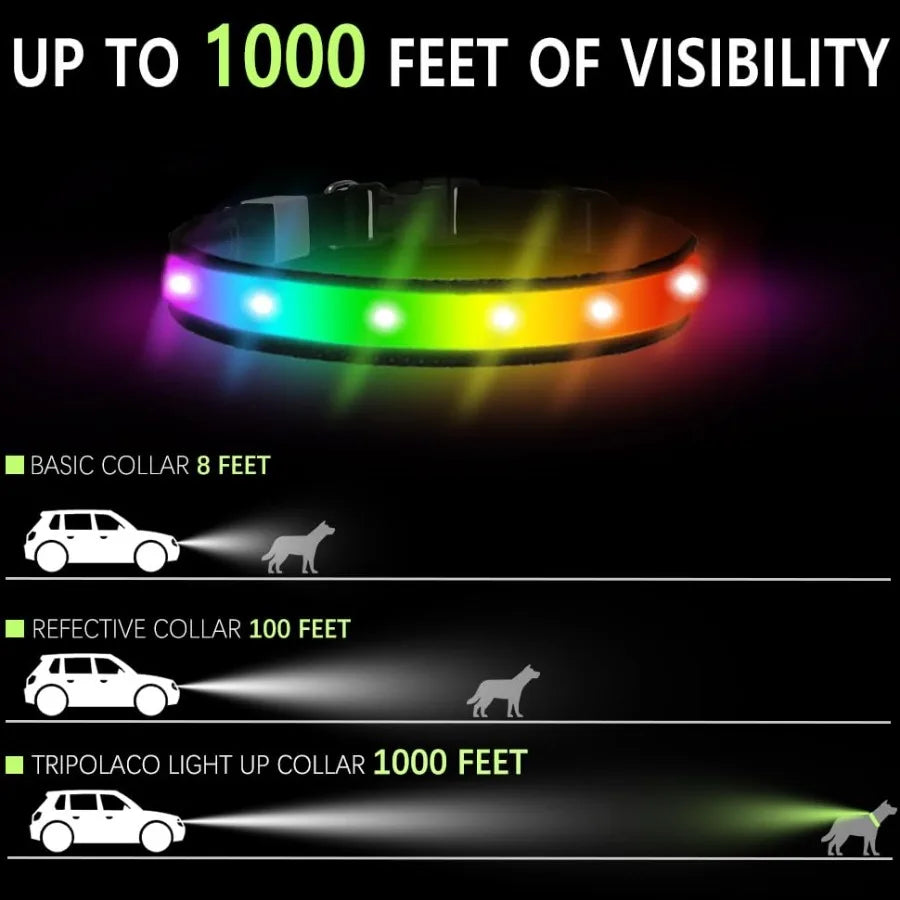 LED Dog Collar lticolor Light Up Dog Collar USB Rechargeable HighVisibility Glow in The Dark Dog Collars for Night Walks IPX7 W
