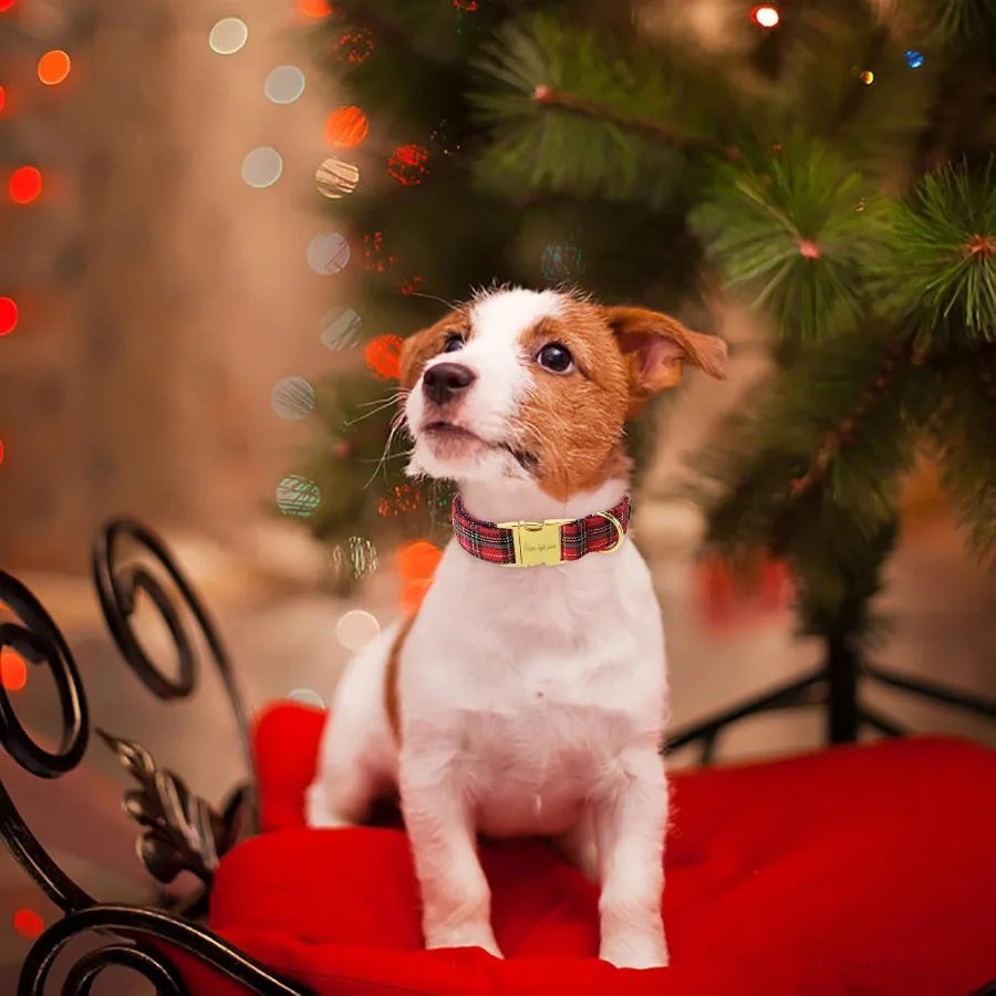 Christmas Dog Collar Metal Buckle ottish Plaid Puppy Collar Gift Durable Cute Collar for Small Medium Large Boys Girls Dogs