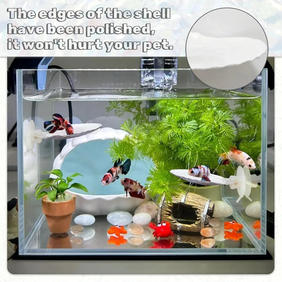 3PCS Betta Hammock Shells tural Small Fish Tank Decorations Betta Fish Tank Accessories Aquarium Decorations Aquarium Hideout H