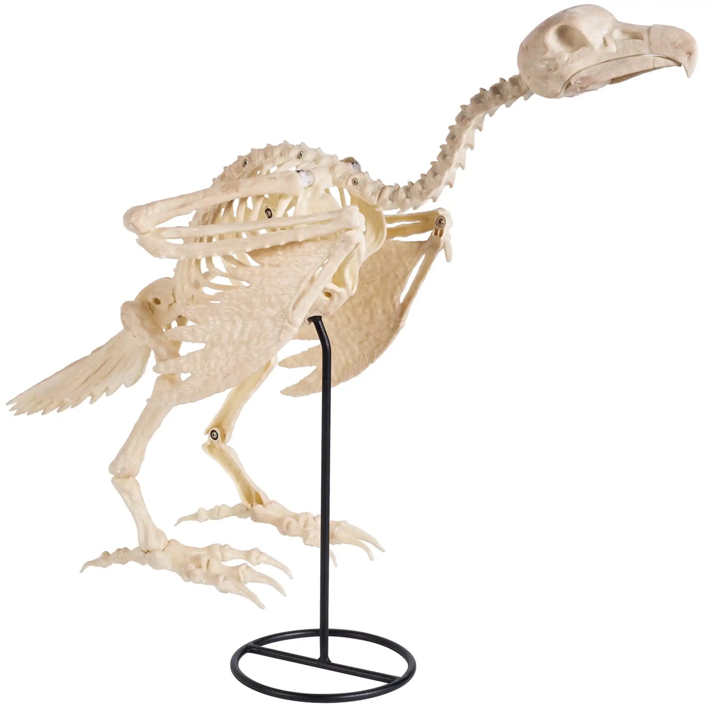 Joyfy 12 inch Halloween Vulture Skeleton Decorations Posable Animal Skeletons for Indoor Outdoor Yard Garden Lawn