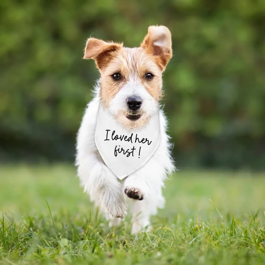 Dog Wedding Engagement Bandana Apparel Accessories Pet Dog Bandana arf Photo Prop I Loved her First Wedding Outfit Funny Engage