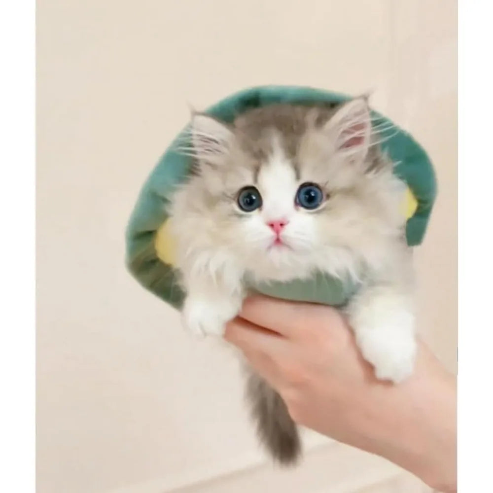 Cute Cat Costumes Turtle Shell Kawaii Kitten Clothes Dog Puppy Vest Pet Apparel (Small,Turtle Shell)