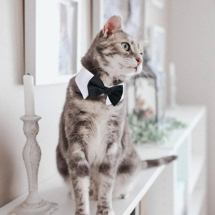 Dog Cat Tuxedo Collar Cat Wedding Bowtie Bow Tie Tux Costume Birthday Easter Valentines Dog Bowtie Cat Collar for Dog Cat Puppy