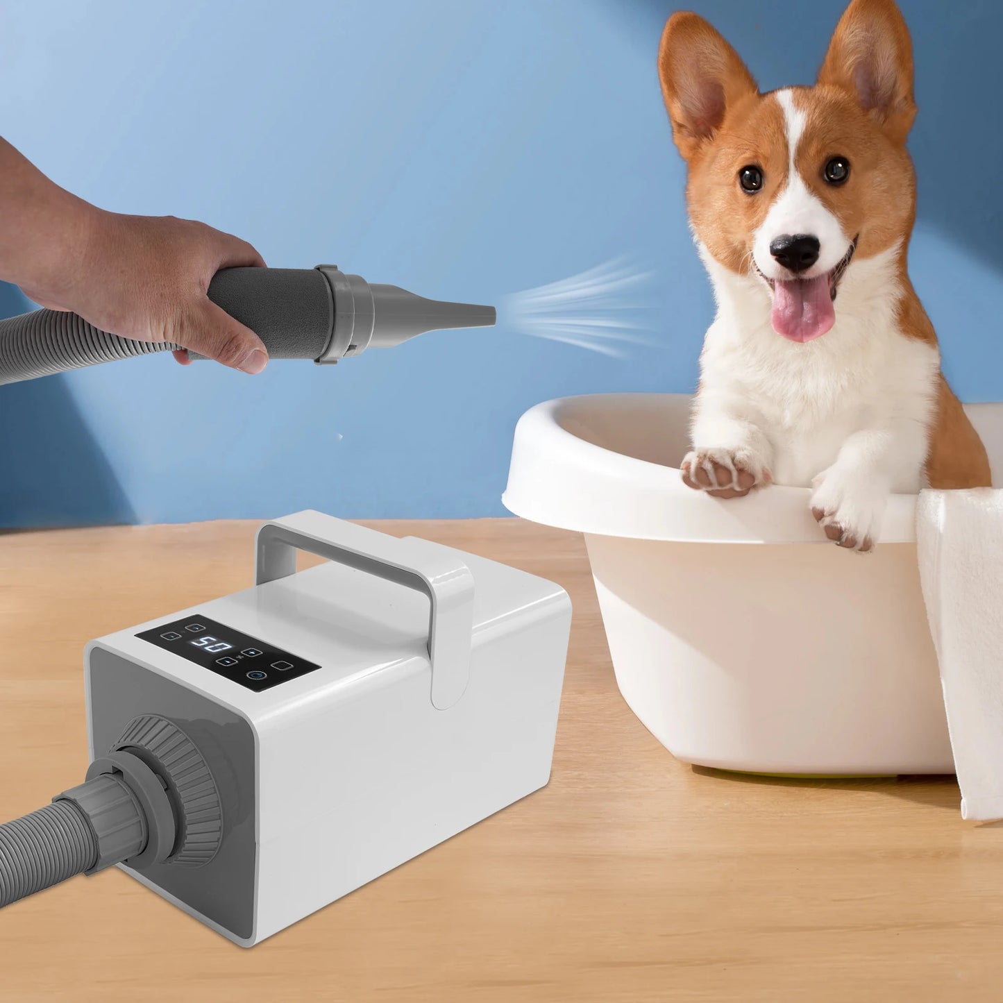 2200W Pet Grooming Dryer for Dogs & Cats, 7 Speed Settings, Adjustable Temp, 4 Nozzles, LCD Display & Overheat Protection