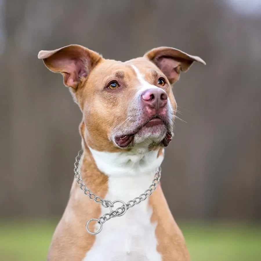 Dog Chain Collars Choke Collar for Dogs Slip P Chain Choker Stainless Steel Link Dog Collar Martingale Training Puppy Collars f