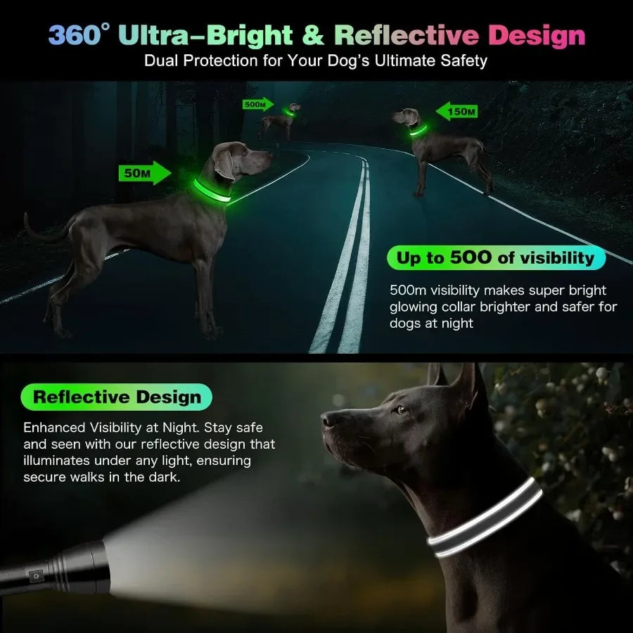 Light Up Dog Collar lticolor LED Dog Collar with 7 Lighting Modes USBC Rechargeable RealTime Battery Indicator Waterproof Adjus