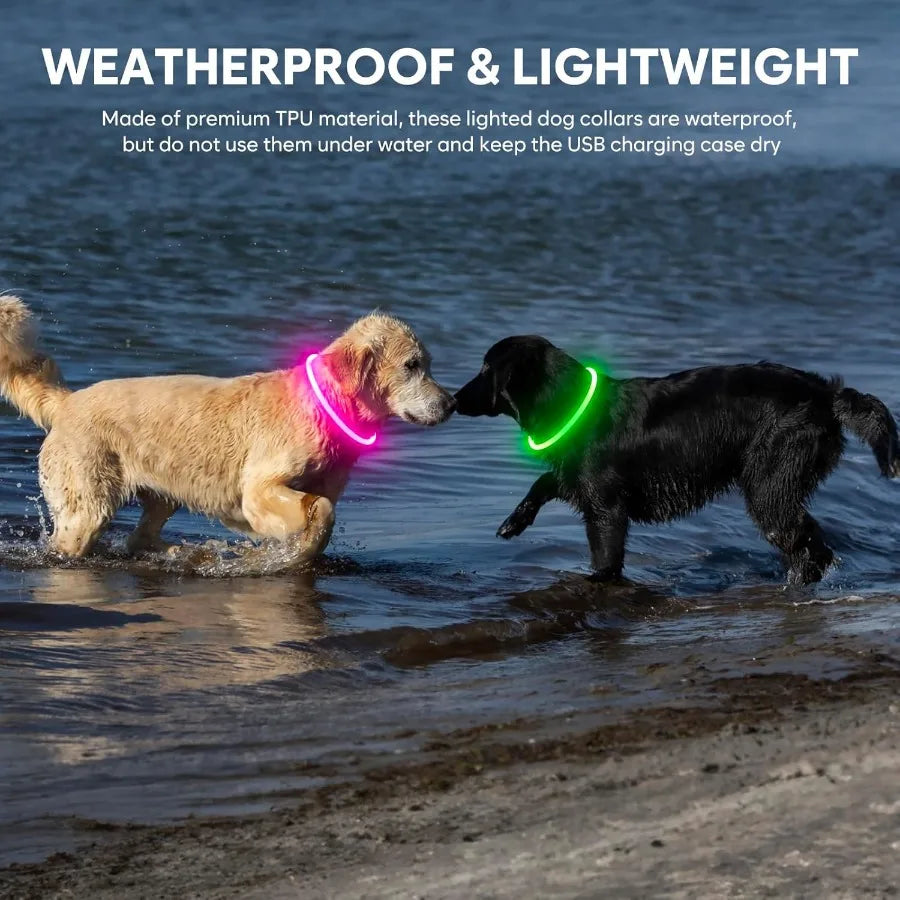 Led Dog Collar Waterproof Lighted Pet Collar Rechargeable for Night TPU Cuttable Light Up Doggie Collar for Small Medium Large