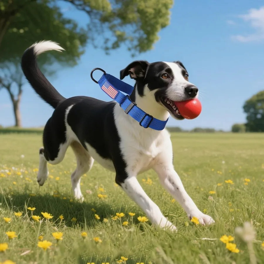 Martingale Dog Collar Quick Release Buckle No Pull Reflective NonSlip for Medium Large Dogs Training Blue Medium