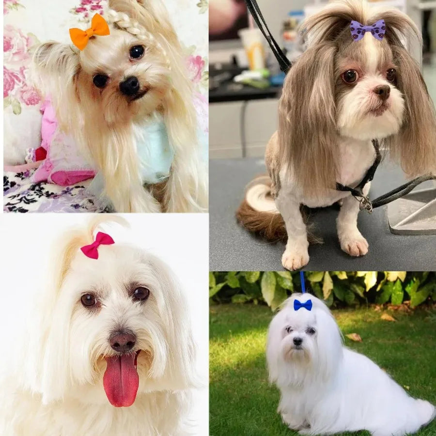 40PCS Dog Hair Bows with Clips 1.5Inch Girl Small Dog Apparel Accessories for Pet Puppy Cat Kitten Rabbit Hair Bows Clips
