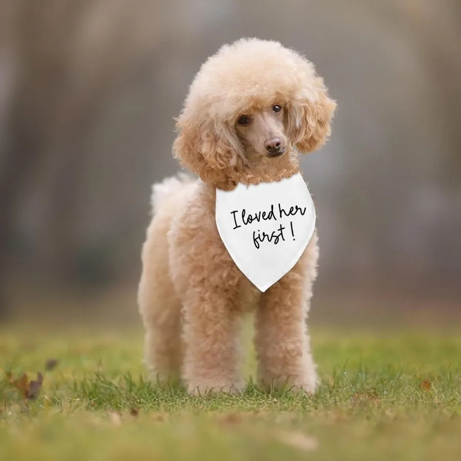 Dog Wedding Engagement Bandana Apparel Accessories Pet Dog Bandana arf Photo Prop I Loved her First Wedding Outfit Funny Engage