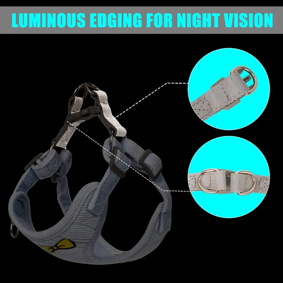No Pull Dog Harness with Leash Pet Soft Vest Harness and Leash Set Dog Cat No Choke Escape Proof Harness Reflective Step in Har