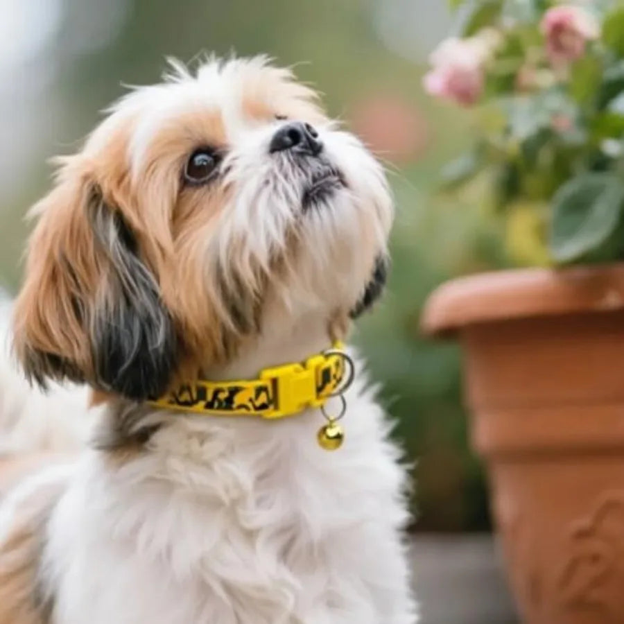 Persolized Camo Dog CollarsAdjtable Lightweight Nylon Pet Collars QuickRelease Buckle Perfect for for Small Dogs Puppies Cats 4