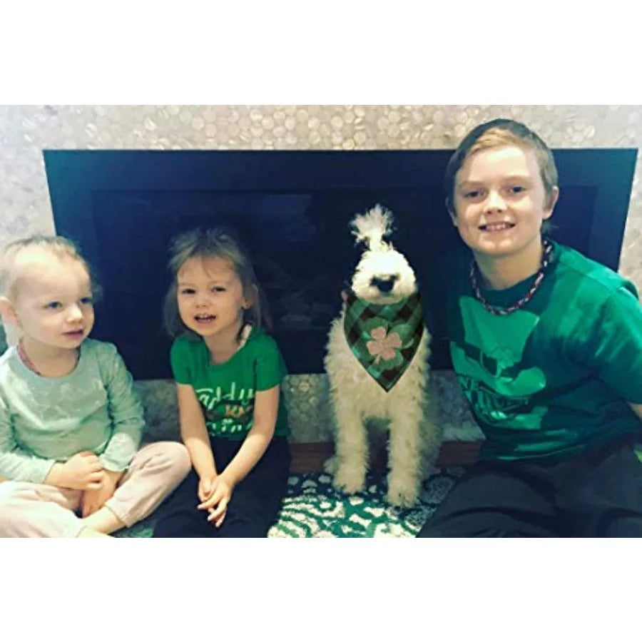 St Patricks Day Dog Bandanas with Shamrock AppliquesPlaid Pet Dog Puppy Holiday arf