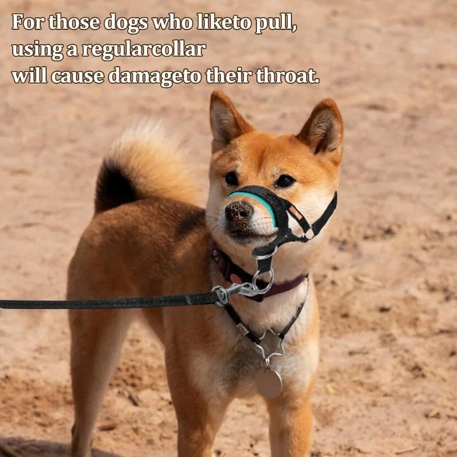 Dog Head Collar No Pull Head Harness with Soft Nylodjustable Head Leash for Small Medium Large Dogs S Apple Green