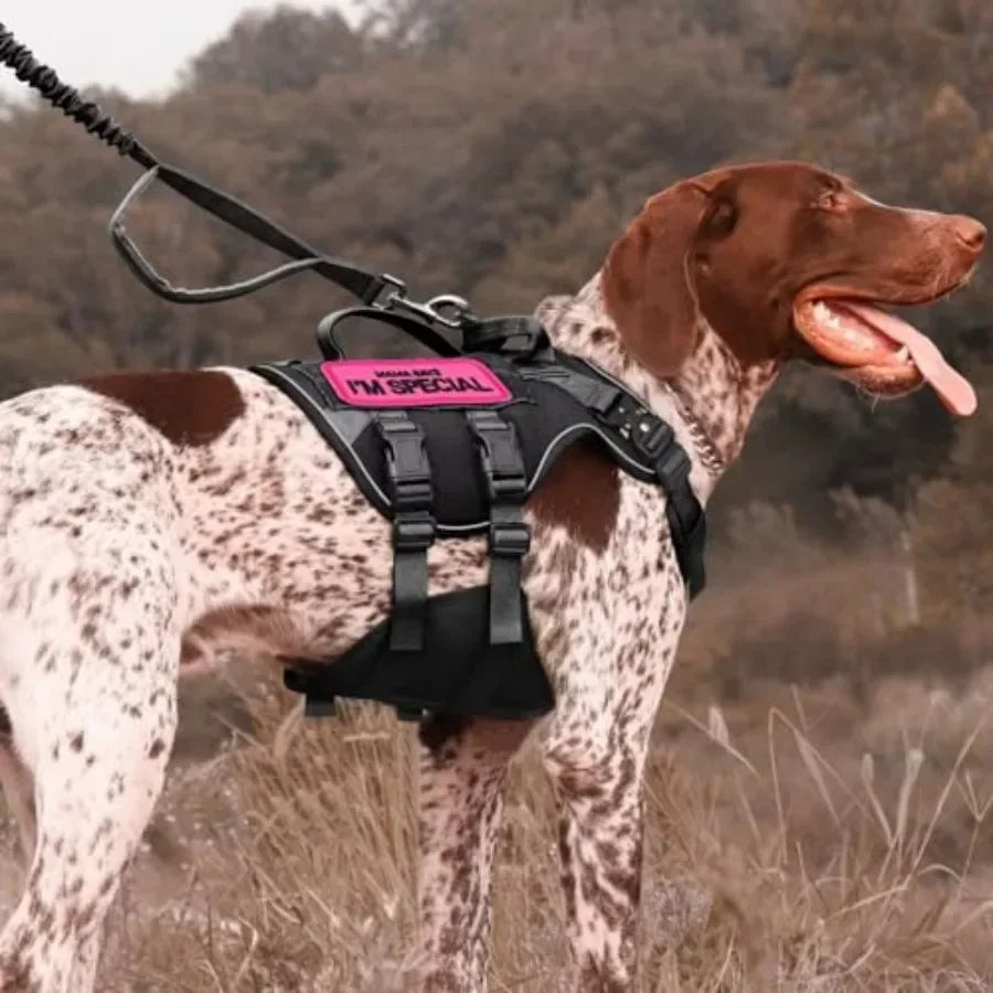 Forestpaw 2 Pack Service Dog Patches for HarnessEmbroidered Service Dog Accessories for Dog Collars Hot Pink Mama SAYS I'm Spec