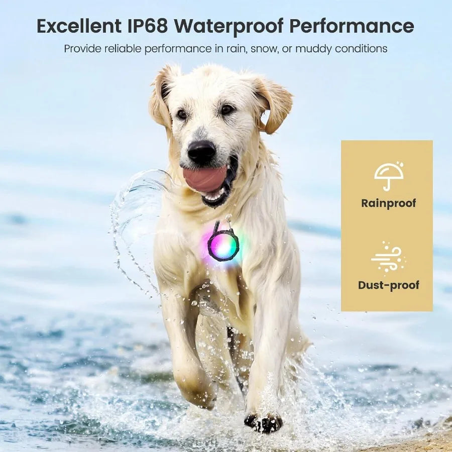 Dog Lights for Night Walking 2 Pack Clip On Dog Collar Light with 4 Modes 650mAh Rechargeable LED Pet Collar Charm for Nighttim