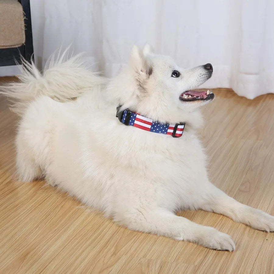 2PCS Cat Dog 4th of July Collar and Leash Set Pet Gift Adjtable Dogs American Flag Collars for Small to Large Pets Large