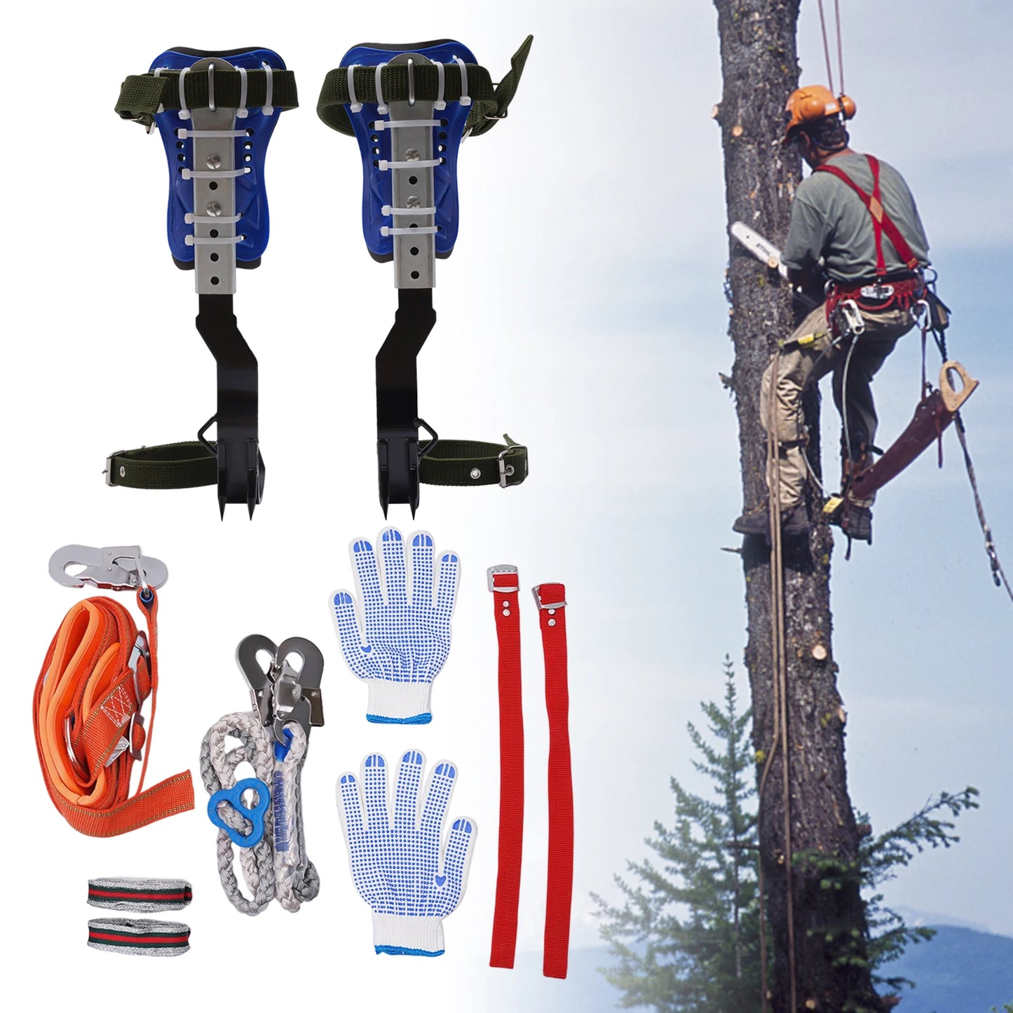 150kg Capacity Adjustable Tree Climbing Spikes Gear Set with Safety Harness Rope Gloves for Outdoor Climbing, Fruit Picking