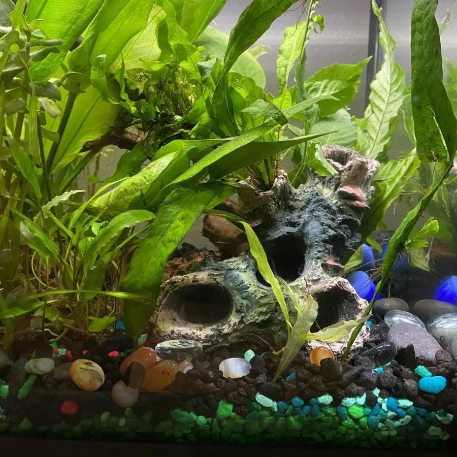 3 PCS Decaying Trunk Betta Fish Orment Driftwood Resin Crafts for Aquarium Decoration Fish Tank Wood With Holes Caves