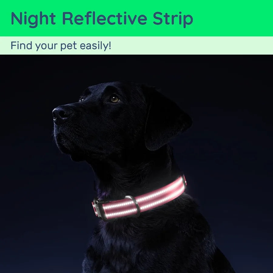 Airtag Dog Collar with QR Code Reflective Dog Collar with Airtag Holder Soft Padded Safety Locking Buckle Adjustable Dog Collar