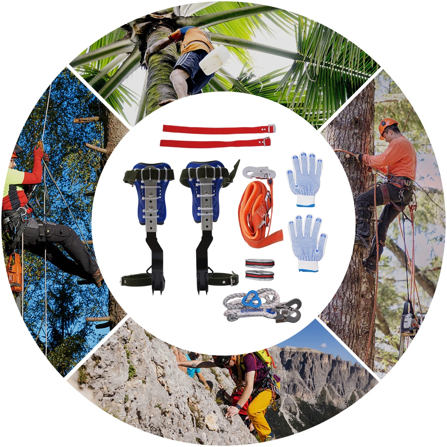150kg Capacity Adjustable Tree Climbing Spikes Gear Set with Safety Harness Rope Gloves for Outdoor Climbing, Fruit Picking