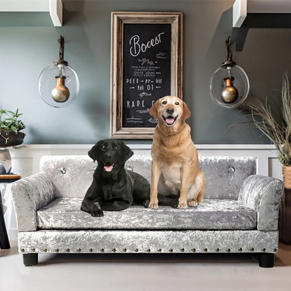 Luxury Velvet Tufted Dog Sofa Bed Large Elevated Pet Bed Upholstered Cushion Wooden Frame Sofa Couch