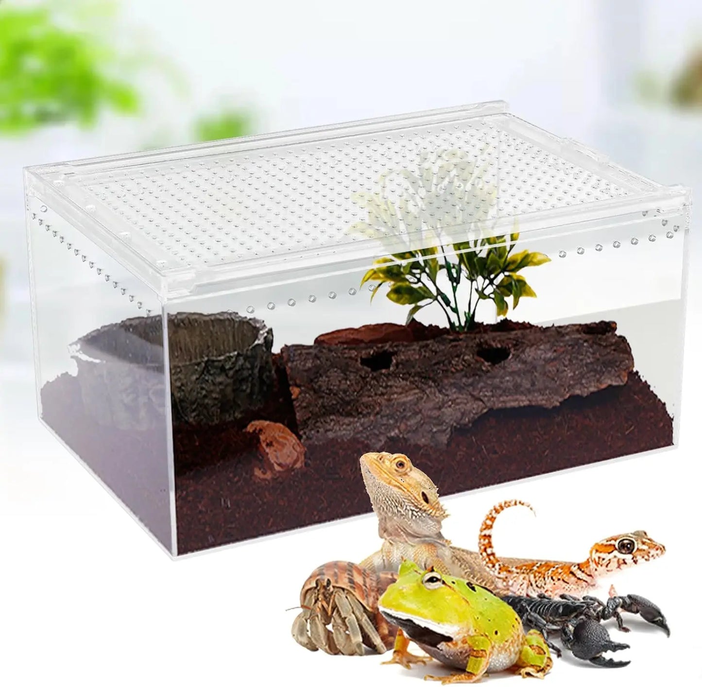 Magnetic Acrylic Large Enclosure 2.5 Gallon, 12x8x6 Inch Reptile Breeding Box Terrarium Cage Clear Acrylic Reptile Feeding Box