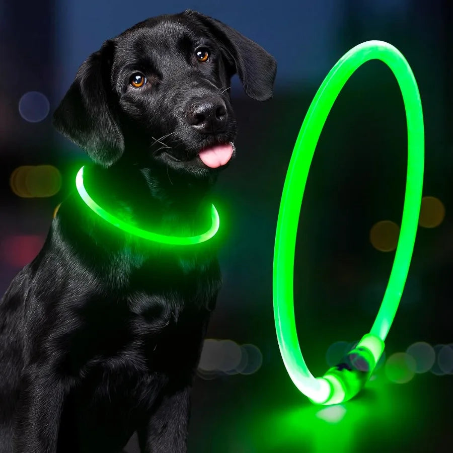 Led Dog Collar Waterproof Lighted Pet Collar Rechargeable for Night TPU Cuttable Light Up Doggie Collar for Small Medium Large