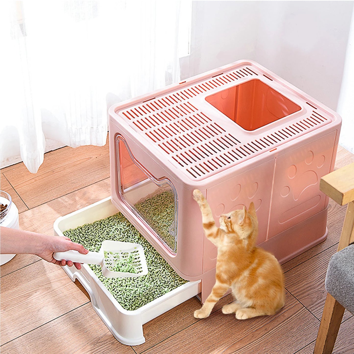 Bingopaw Cat Litter Box with Lid, Enclosed Potty, Large Top Entry Anti-Splashing Toilet, Easy to Clean Including Litter Scoop