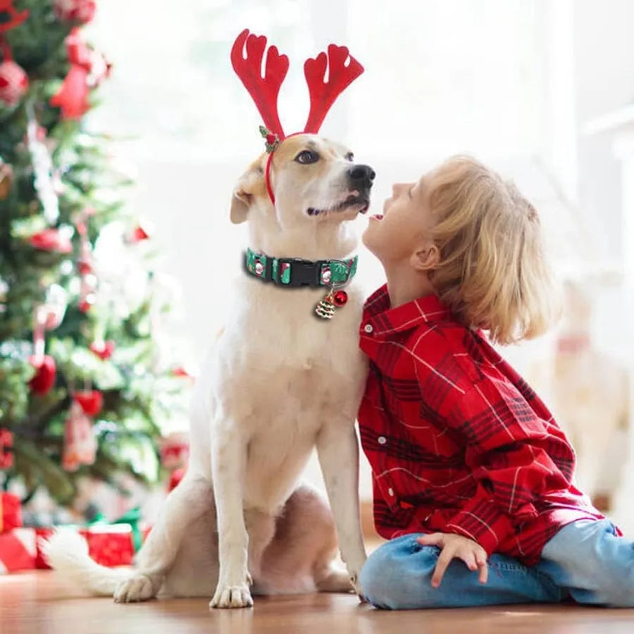 Christmas Dog CollarSoft Comfortable Dog Collar for Christmas with Quickly Release Buckle Christmas Puppy Collar Red Green Chri