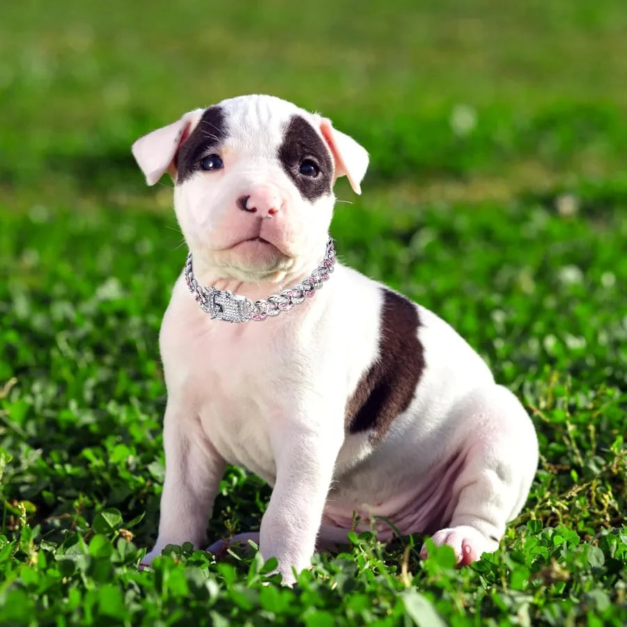 9inch Glitter Dog Collar Pink Silver Diamond Collars Cuban Girl Necklace Puppy Pet Metal Link Chain with Buckle Christmas Pet J
