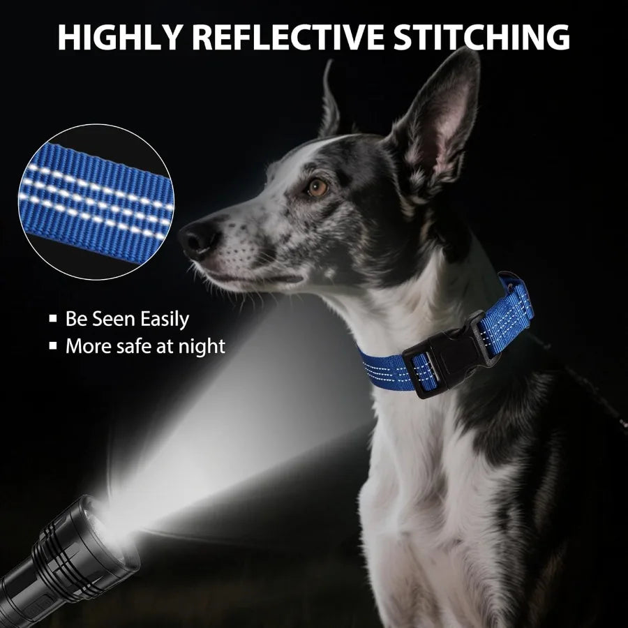 Martingale Dog Collar Quick Release Buckle No Pull Reflective NonSlip for Medium Large Dogs Training Blue Medium