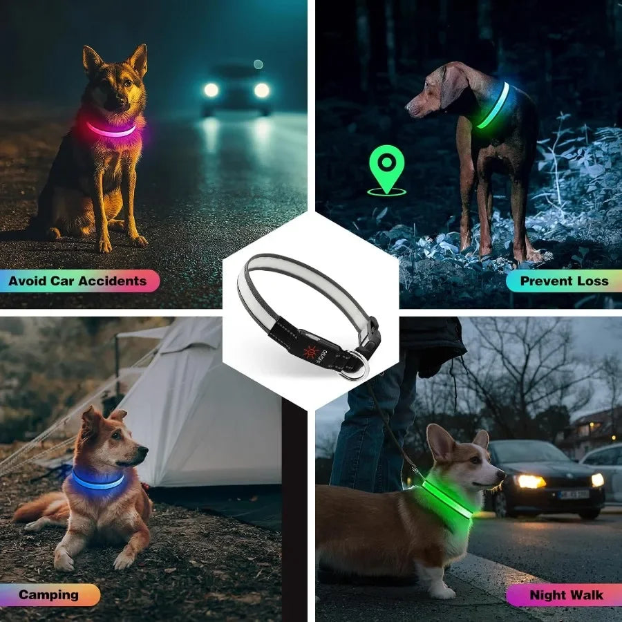 Light Up Dog Collar lticolor LED Dog Collar with 7 Lighting Modes USBC Rechargeable RealTime Battery Indicator Waterproof Adjus