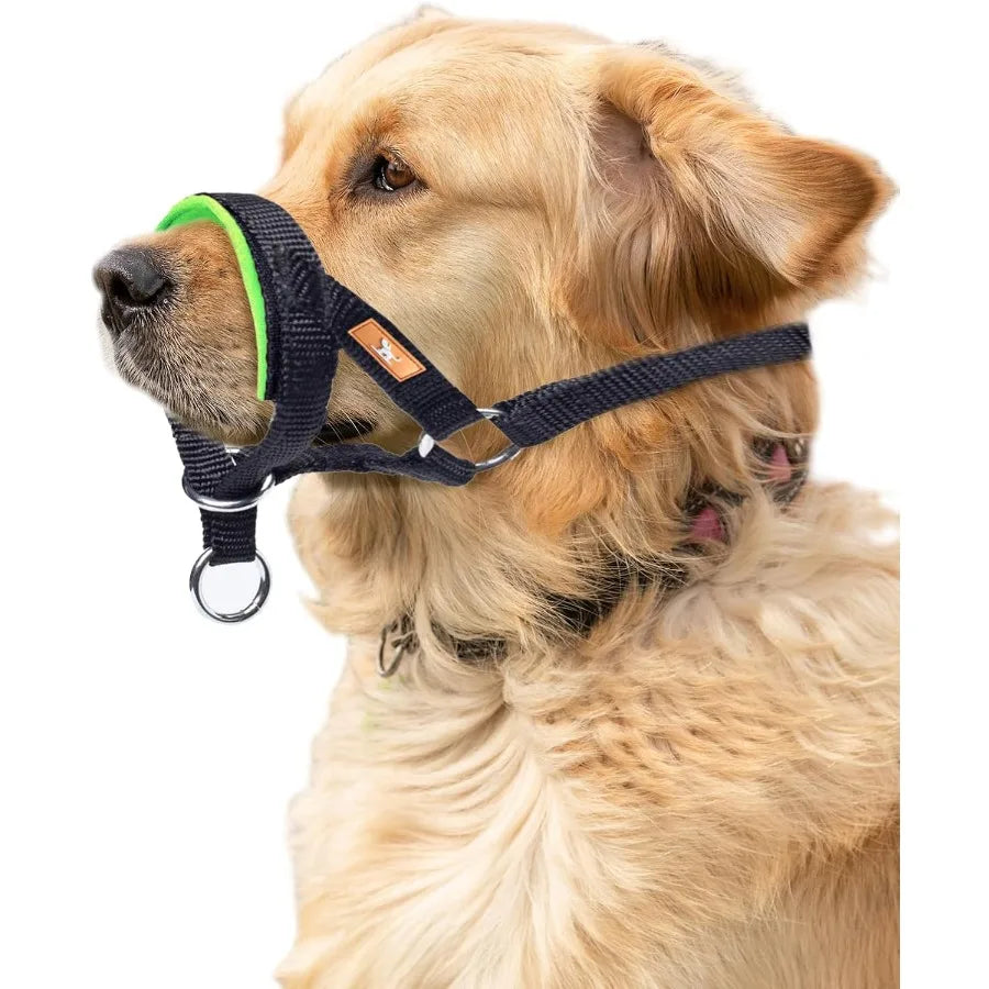 Dog Head Collar No Pull Head Harness with Soft Nylodjustable Head Leash for Small Medium Large Dogs S Apple Green
