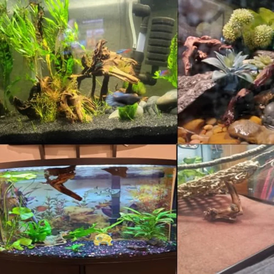 5PCS Aquarium Driftwood Branches 4''7.8'' Reptiles Trunk tural Wood Fish Tank Decoration Plant Stump Orment Decor Assorted