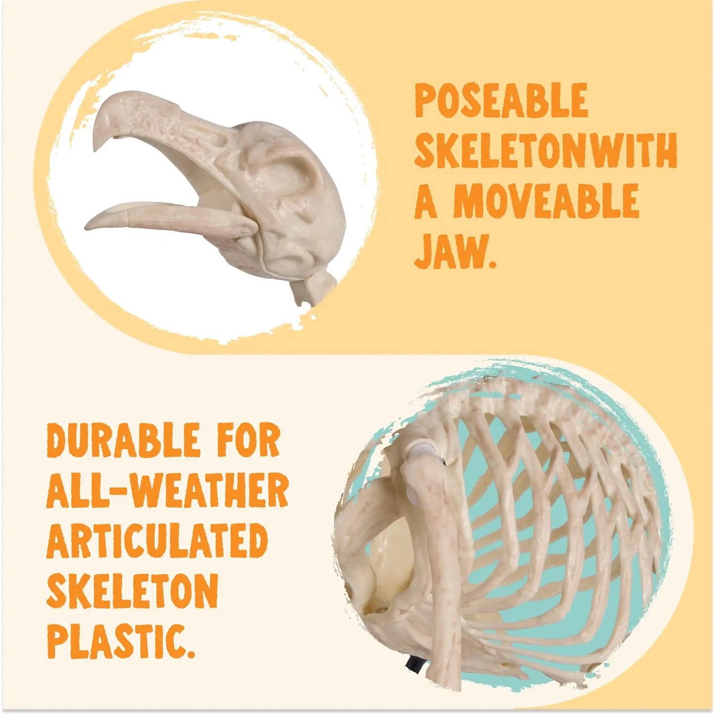 Joyfy 12 inch Halloween Vulture Skeleton Decorations Posable Animal Skeletons for Indoor Outdoor Yard Garden Lawn