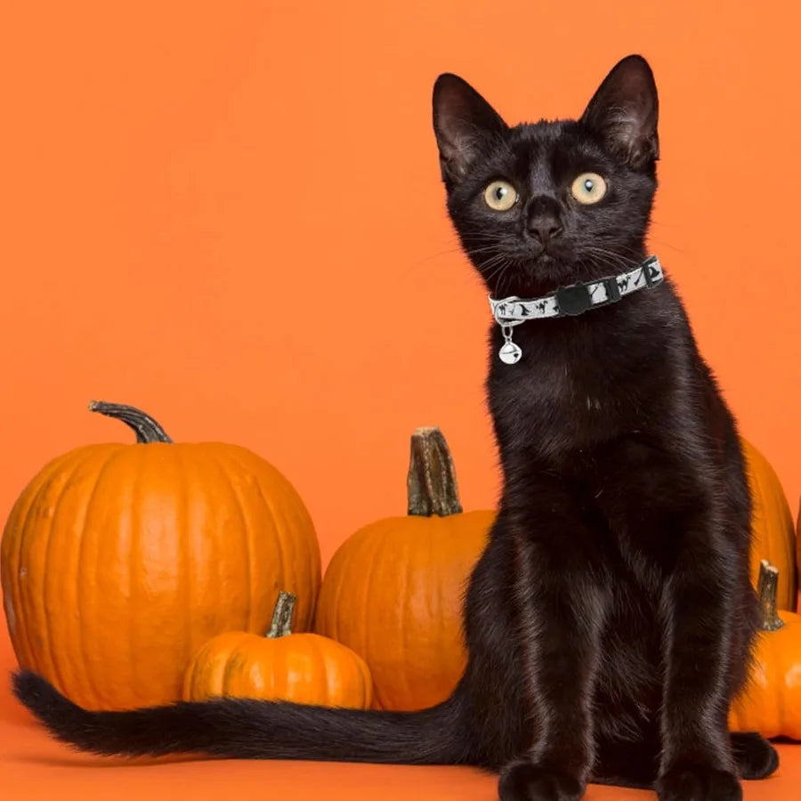Halloween Cat Collar with Bell 6 Packs Breakaway Soft Adjustable Kitten Kitty Collars for Small Pet Puppy Bunny with Safety Rel